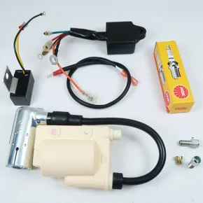 Moteur AV7 complet avec Allumage électronique LAUTER et Carburateur Dellorto SHA Ø15mm Mobylette Motobécane Motoconfort Moteur AV7 complet avec Allumage électronique LAUTER et Carburateur Dellorto SHA Ø15mm Mobylette Motobécane Motoconfort