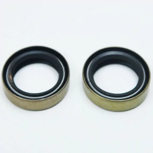 JOINT SPI MOTEUR Polini Pour Mobylette Peugeot 50 101 Neuf EUR 17,21